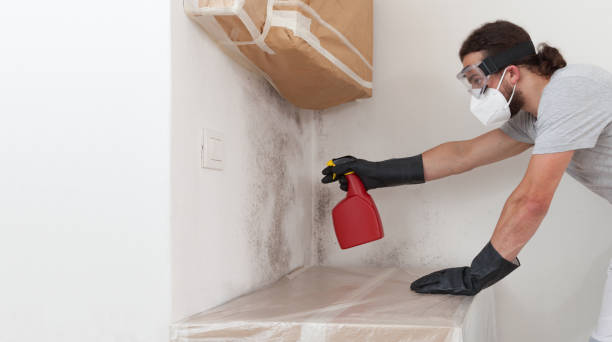 Professional Bathroom Mold Removal technician working in Evans, GA