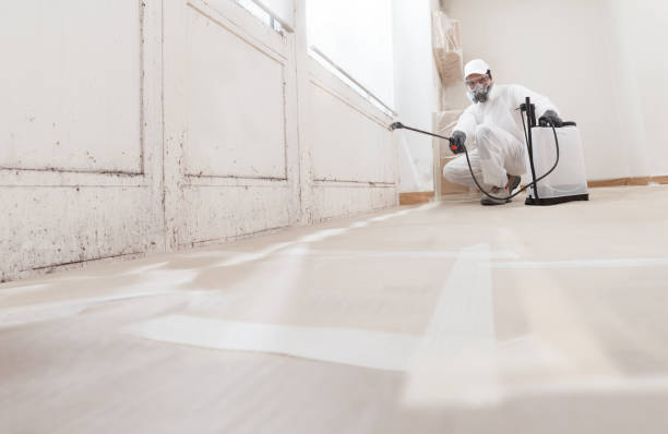 24/7 Emergency Bathroom Mold Removal experts in Evans, GA