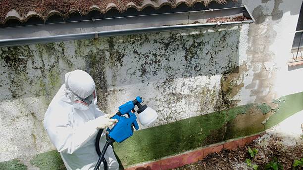 Top rated local Bathroom Mold Removal specialists in Evans, GA